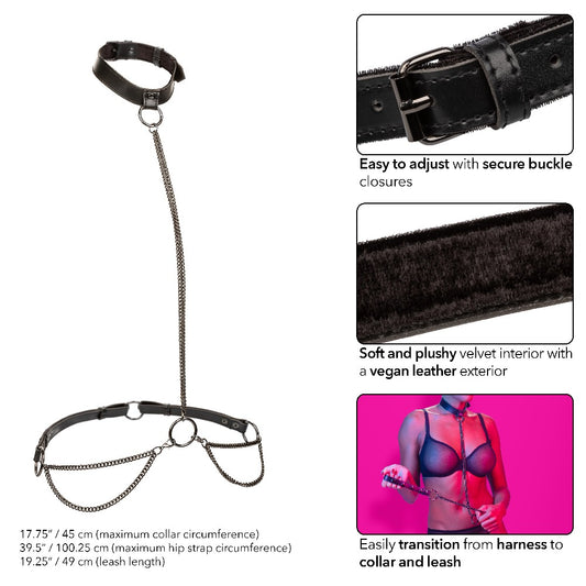 Euphoria Collection Chain Halter/collar and Leash - Black CalExotics - California Exotic Novelties Toys - Fetish