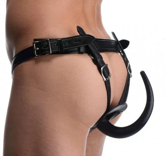 Ass Holster Anal Plug Harness Black Master Series Toys - Fetish