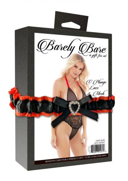 V Plunge Lace & Mesh Teddy Black OS Barely Bare Women - Lingerie - Teddy