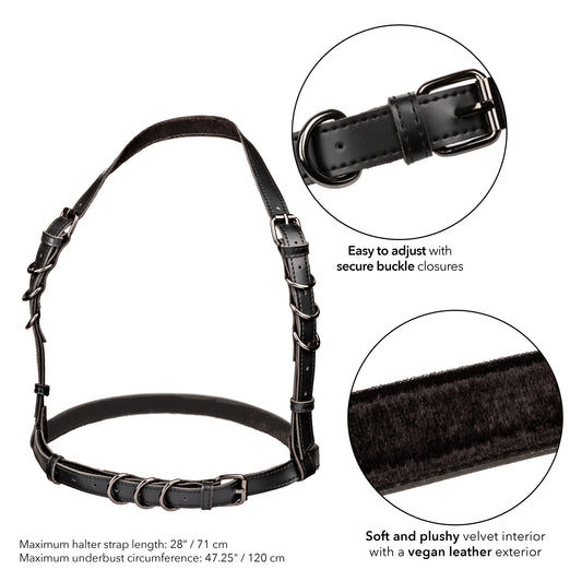 Euphoria Collection Plus Size Halter Buckle Harness - Black Default Title CalExotics - California Exotic Novelties Toys - Fetish