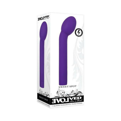Evolved Sweet Spot Rechargeable Silicone Purple Default Title Evolved Novelties Toys - Vibrators