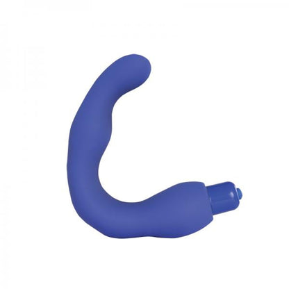 Renegade Vibrating Prostate Massager 3 Default Title New Sensations - NS Novelties Toys - Anal Toys