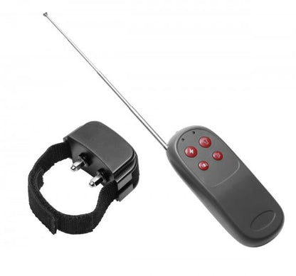 C*ck Shock Remote CBT Electric C*ck Ring Default Title Master Series Toys - Cockrings