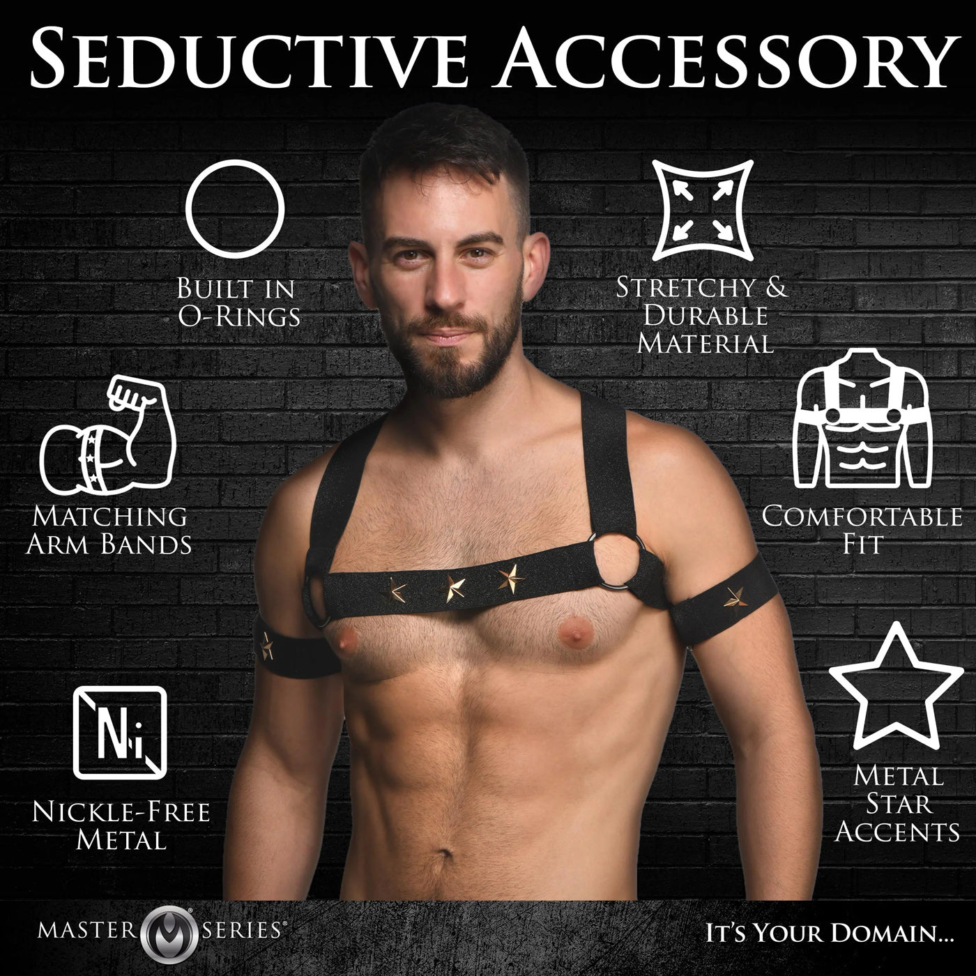 Star Boy Male Chest Harness With Arm Bands - Small/medium - Black Default Title XR Brands Toys - Fetish