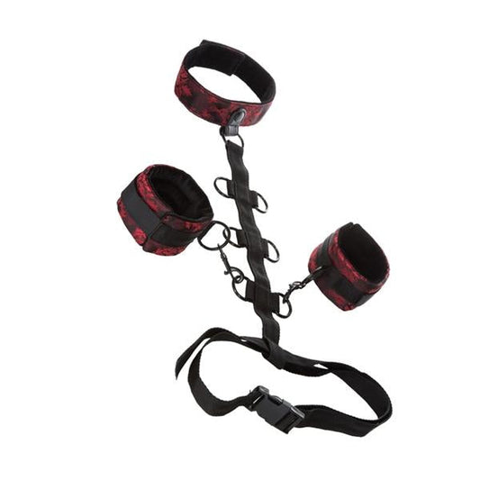 Scandal Collar Body Restraint Default Title Scandal Toys - Fetish