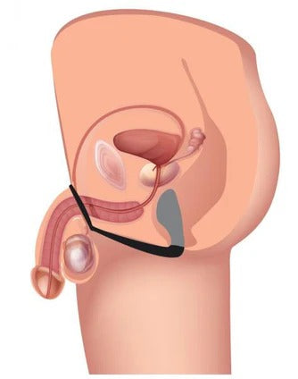 Explorer II Prostate Stimulator & Cock Ring Black Prostatic Play Toys - Anal Toys