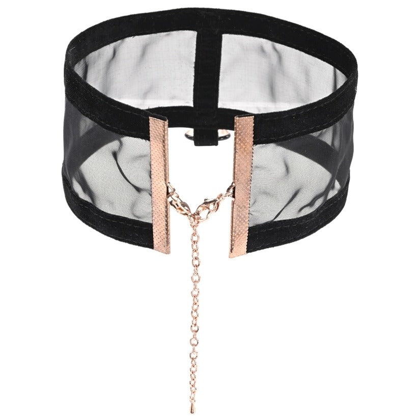 S&M Sheer Day Collar Sportsheets Toys - Fetish