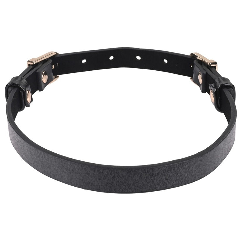 S&M Double Buckle Day Collar Sportsheets Toys - Fetish