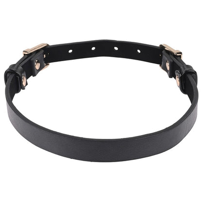 S&M Double Buckle Day Collar Sportsheets Toys - Fetish