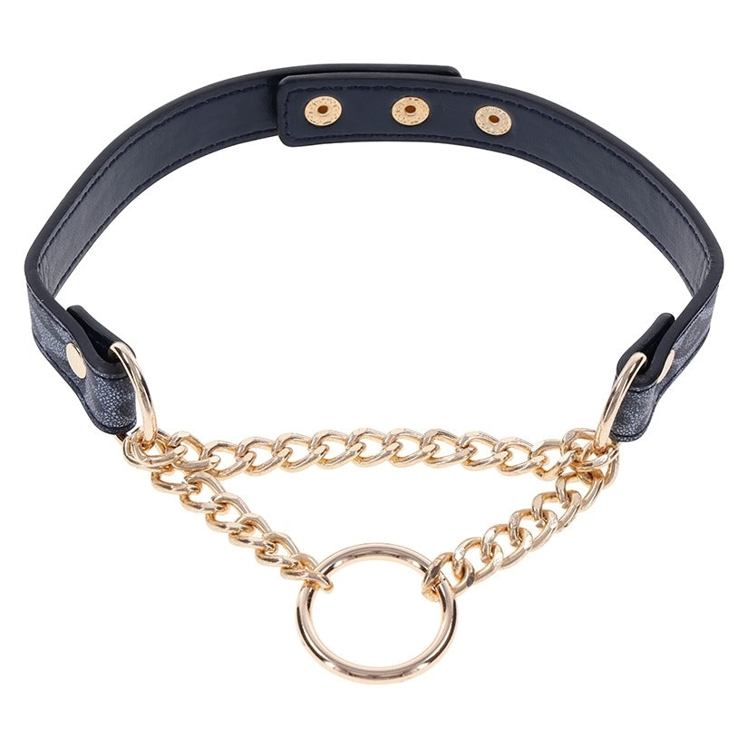 Cougar Day Collar Sportsheets Toys - Fetish