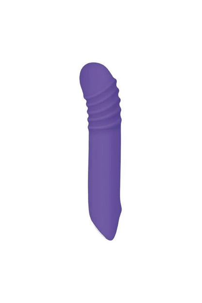 Evolved The G-rave Light-up Vibrator Purple Evolved Novelties Toys - Vibrators