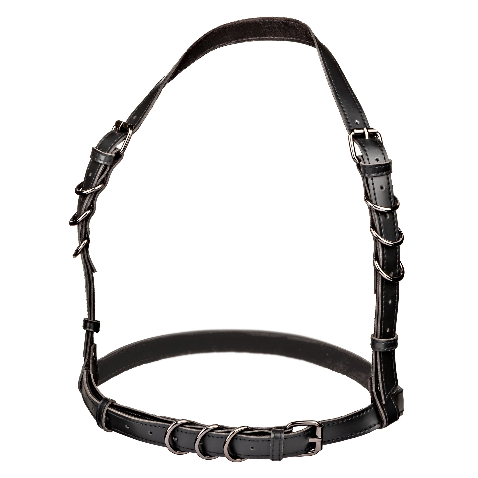 Euphoria Collection Plus Size Halter Buckle Harness - Black CalExotics - California Exotic Novelties Toys - Fetish