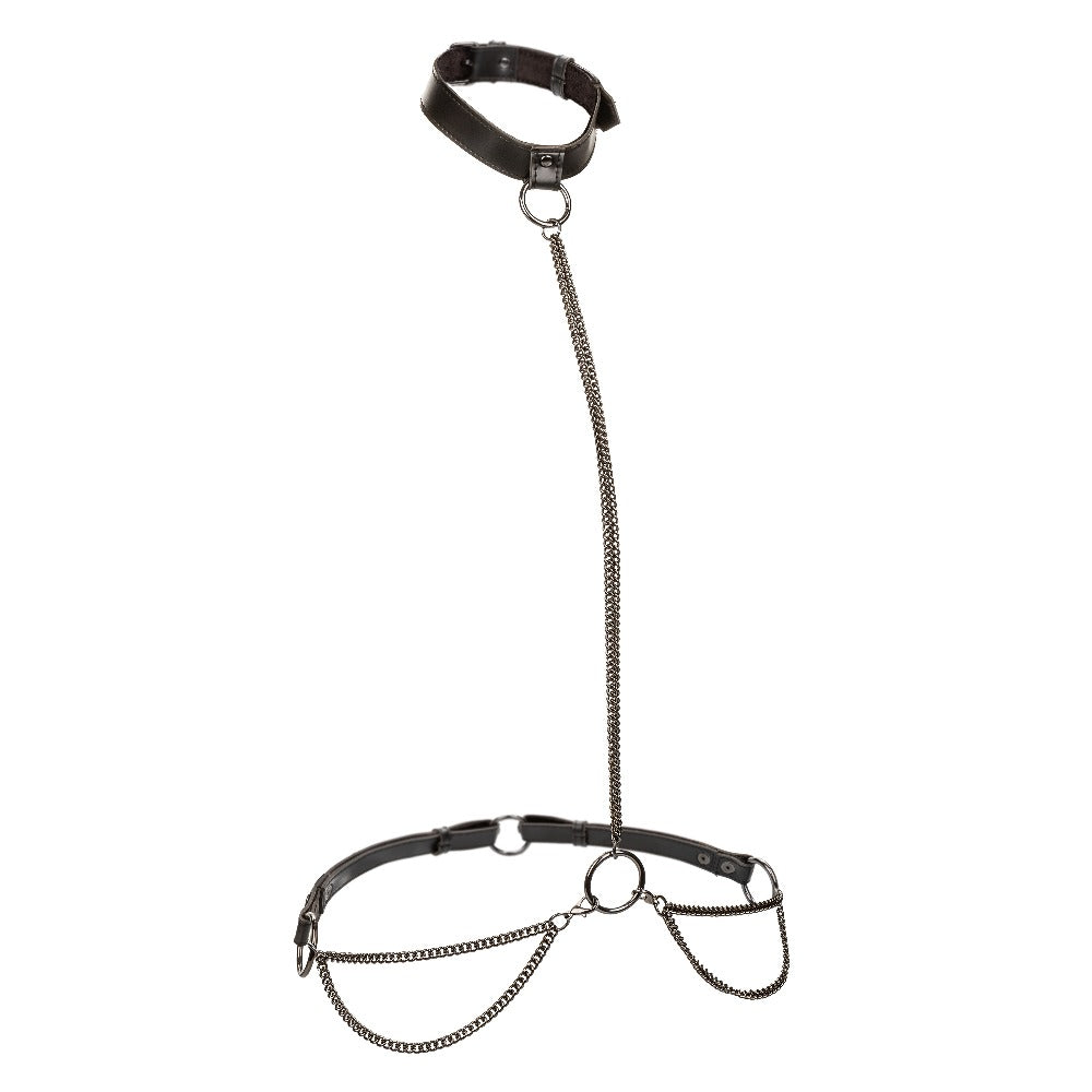 Euphoria Collection Plus Size Chain Halter/collar and Leash - Black CalExotics - California Exotic Novelties Toys - Fetish