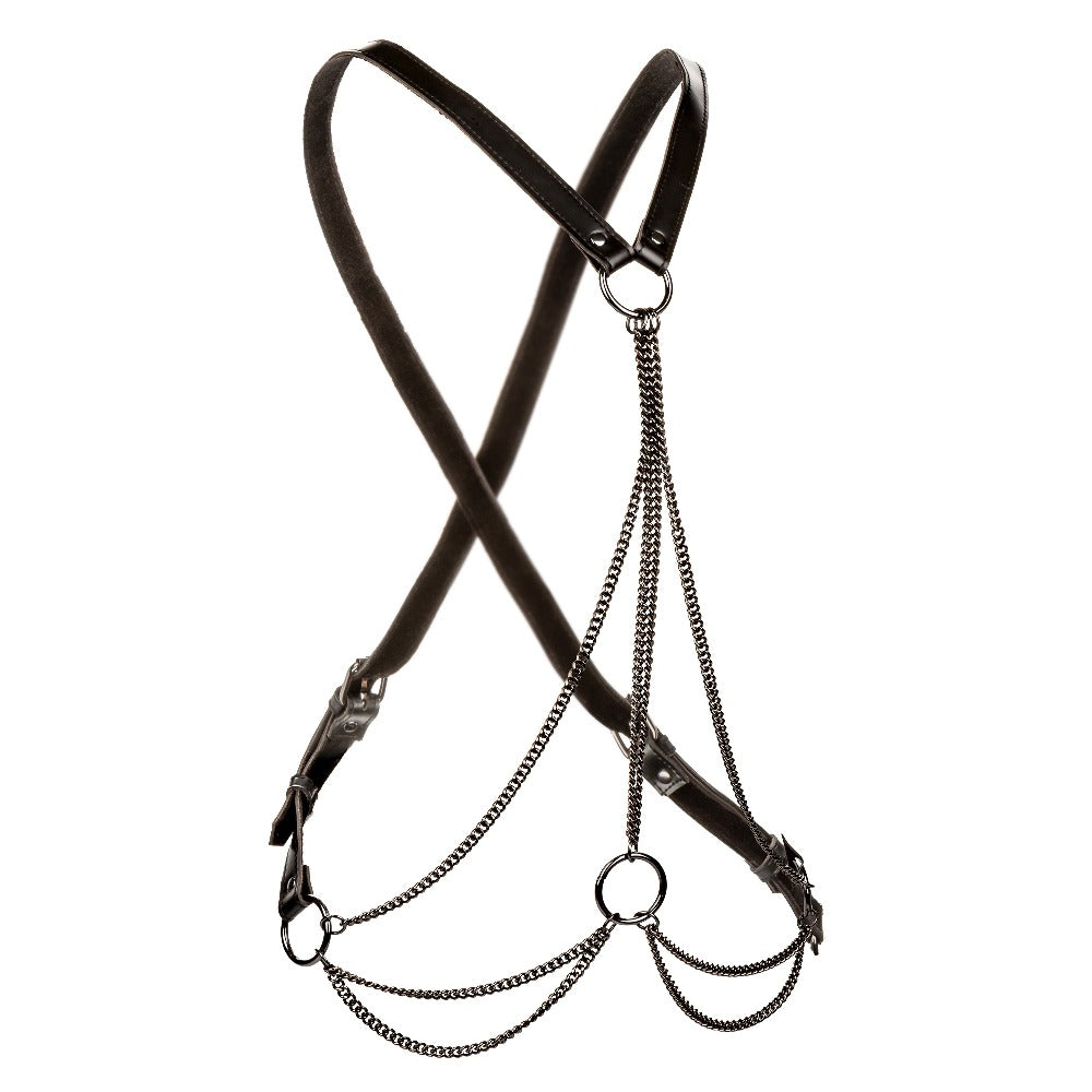 Euphoria Collection Plus Size Multi Chain Harness - Black CalExotics - California Exotic Novelties Toys - Fetish