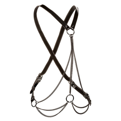 Euphoria Collection Plus Size Multi Chain Harness - Black CalExotics - California Exotic Novelties Toys - Fetish