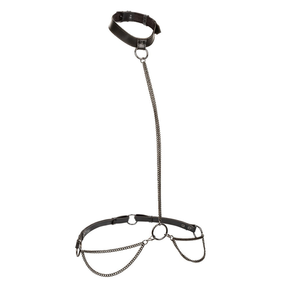 Euphoria Collection Chain Halter/collar and Leash - Black CalExotics - California Exotic Novelties Toys - Fetish