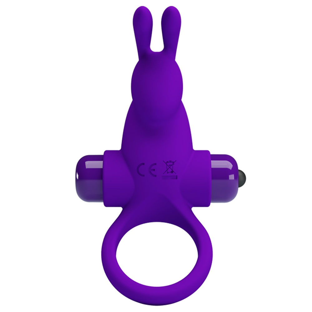 Pretty Love Vibrant Penis Ring I - Purple Pretty Love Toys - Cockrings