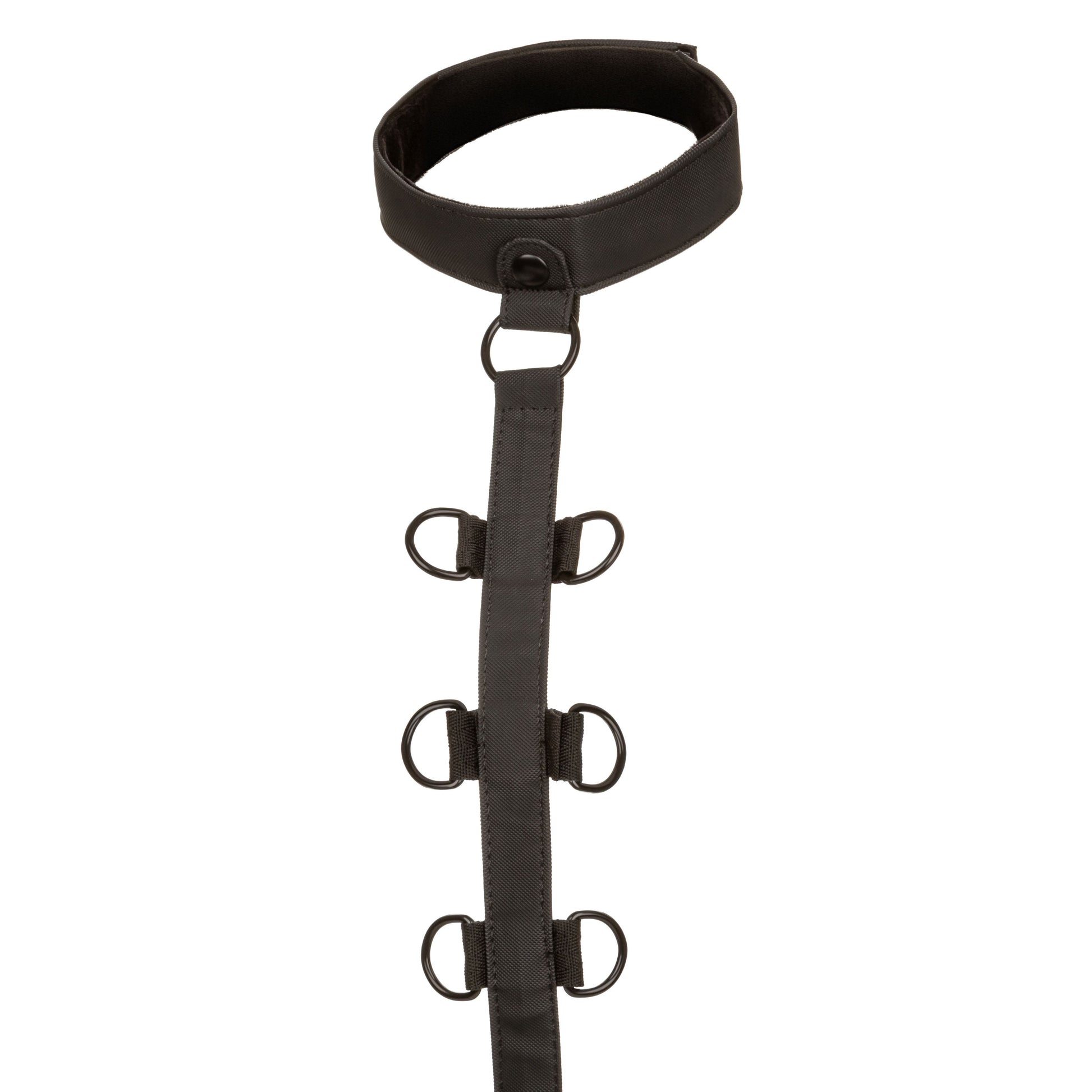 Boundless Collar Body Restraint - Black CalExotics - California Exotic Novelties Toys - Fetish