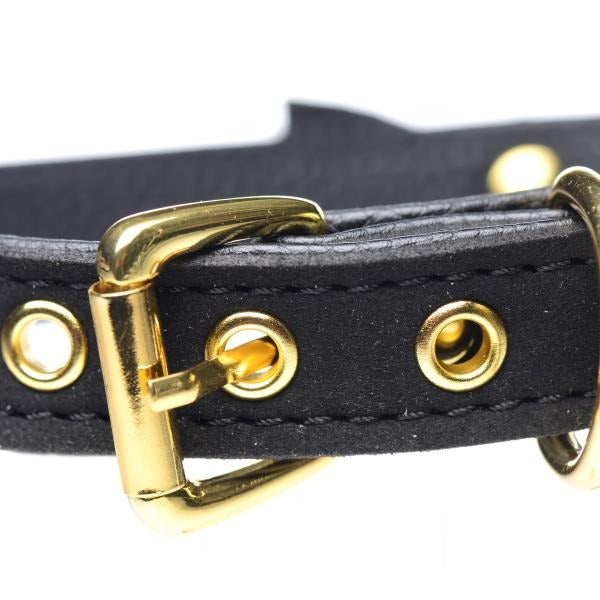 Golden Kitty Cat Bell Collar - Black/gold Master Series Toys - Fetish