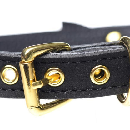 Golden Kitty Cat Bell Collar - Black/gold Master Series Toys - Fetish
