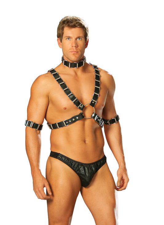 4 Piece Adjustable Harness, Set Includes Leather Harness, Arm Bands A