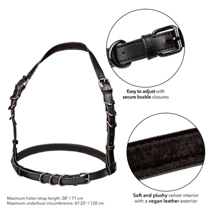 Euphoria Collection Plus Size Halter Buckle Harness - Black Default Title CalExotics - California Exotic Novelties Toys - Fetish